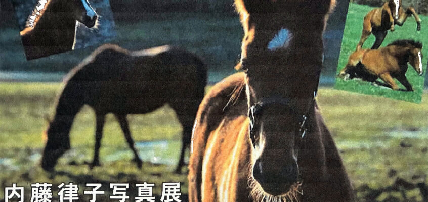【内藤律子】写真展［サラブレッドに導かれて］＆2026年カレンダー 2026/2/11(水)～17(火) 丸善日本橋店3階ギャラリーB(東京)